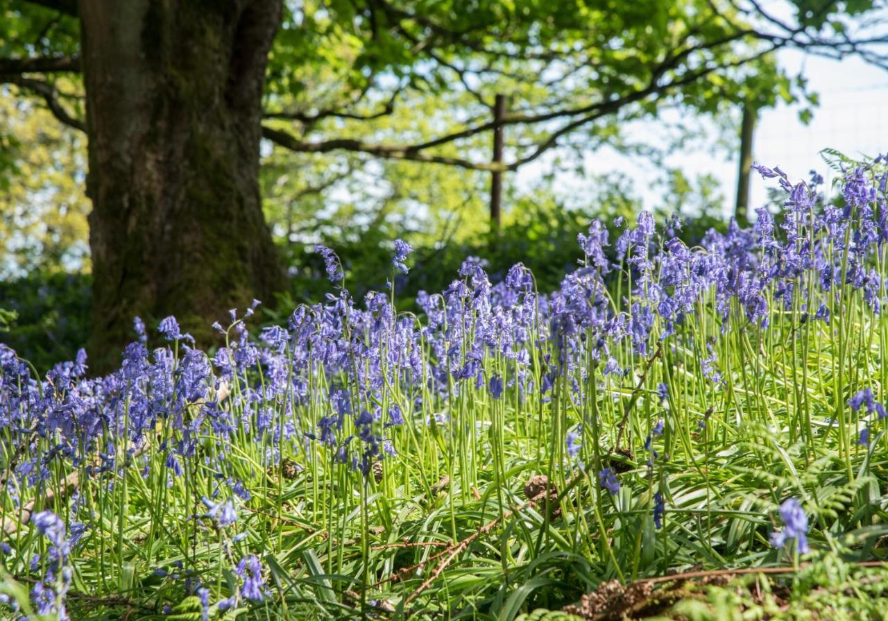 Wydon Farm Bed And Breakfast Haltwhistle Εξωτερικό φωτογραφία