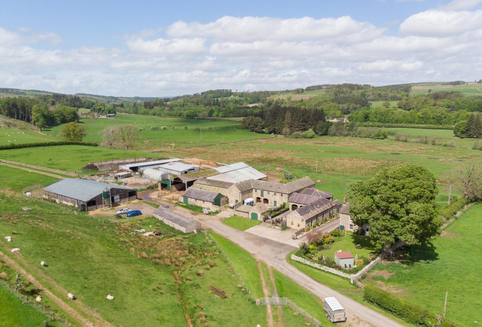 Wydon Farm Bed And Breakfast Haltwhistle Εξωτερικό φωτογραφία