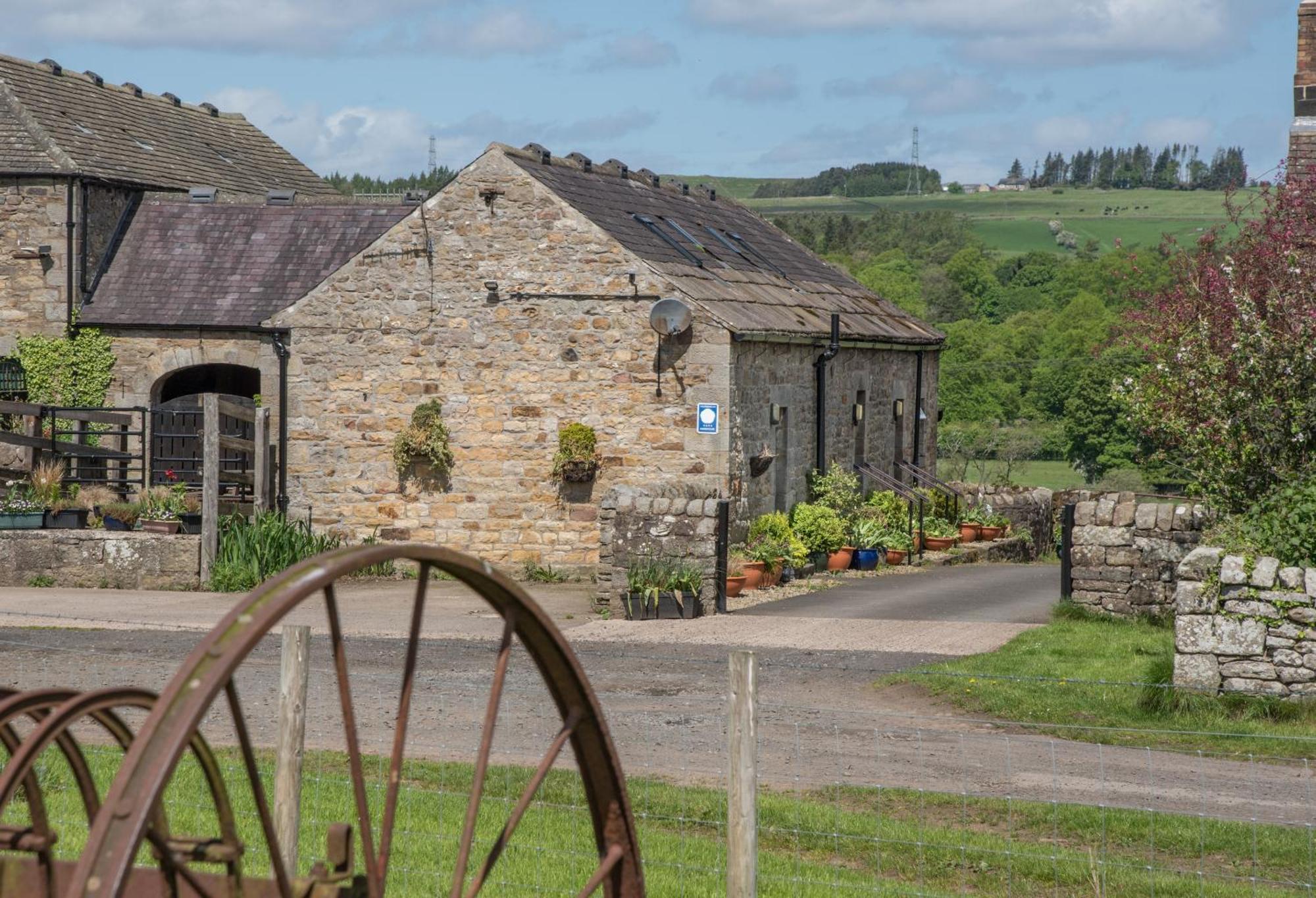 Wydon Farm Bed And Breakfast Haltwhistle Εξωτερικό φωτογραφία