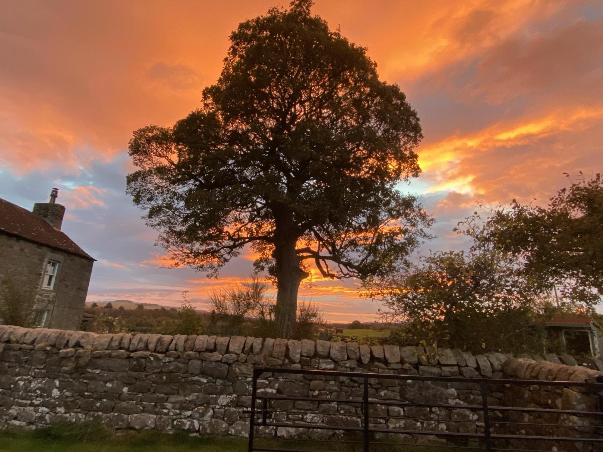 Wydon Farm Bed And Breakfast Haltwhistle Εξωτερικό φωτογραφία
