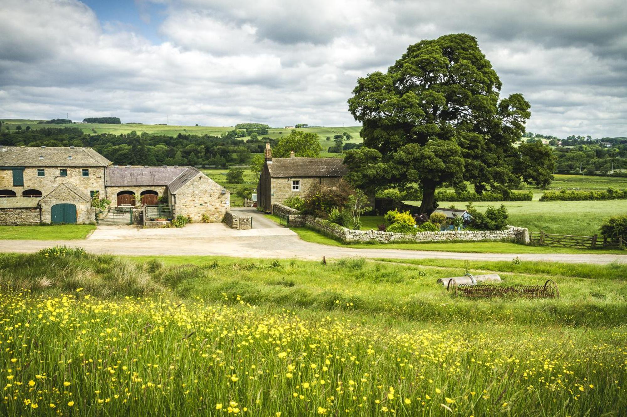 Wydon Farm Bed And Breakfast Haltwhistle Εξωτερικό φωτογραφία