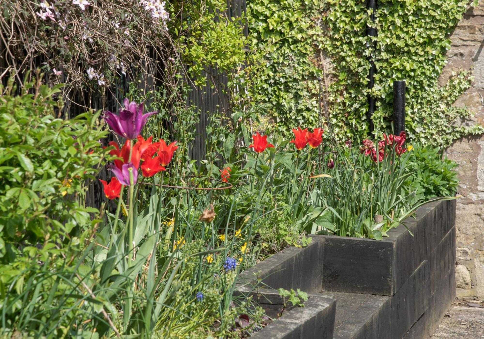 Wydon Farm Bed And Breakfast Haltwhistle Εξωτερικό φωτογραφία